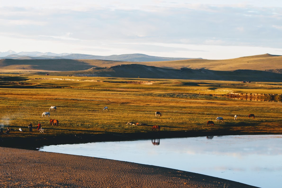 Horse Trails Mongolia Northern Mongolian Horse Trekking 2016, camping next to the lake of Khovsgol Aimag